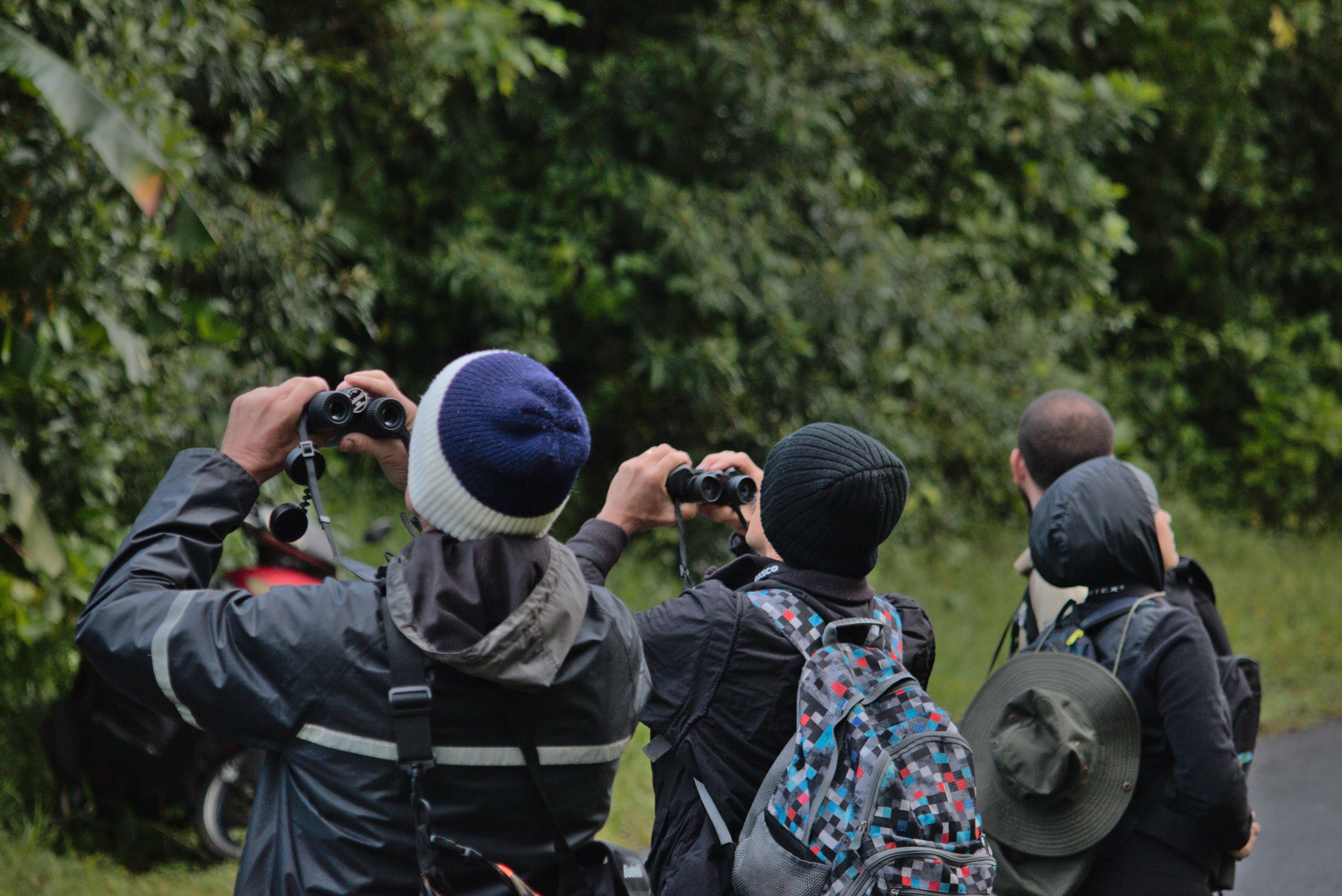 ConteoAvesPajareada_SanIsidroHeredia2