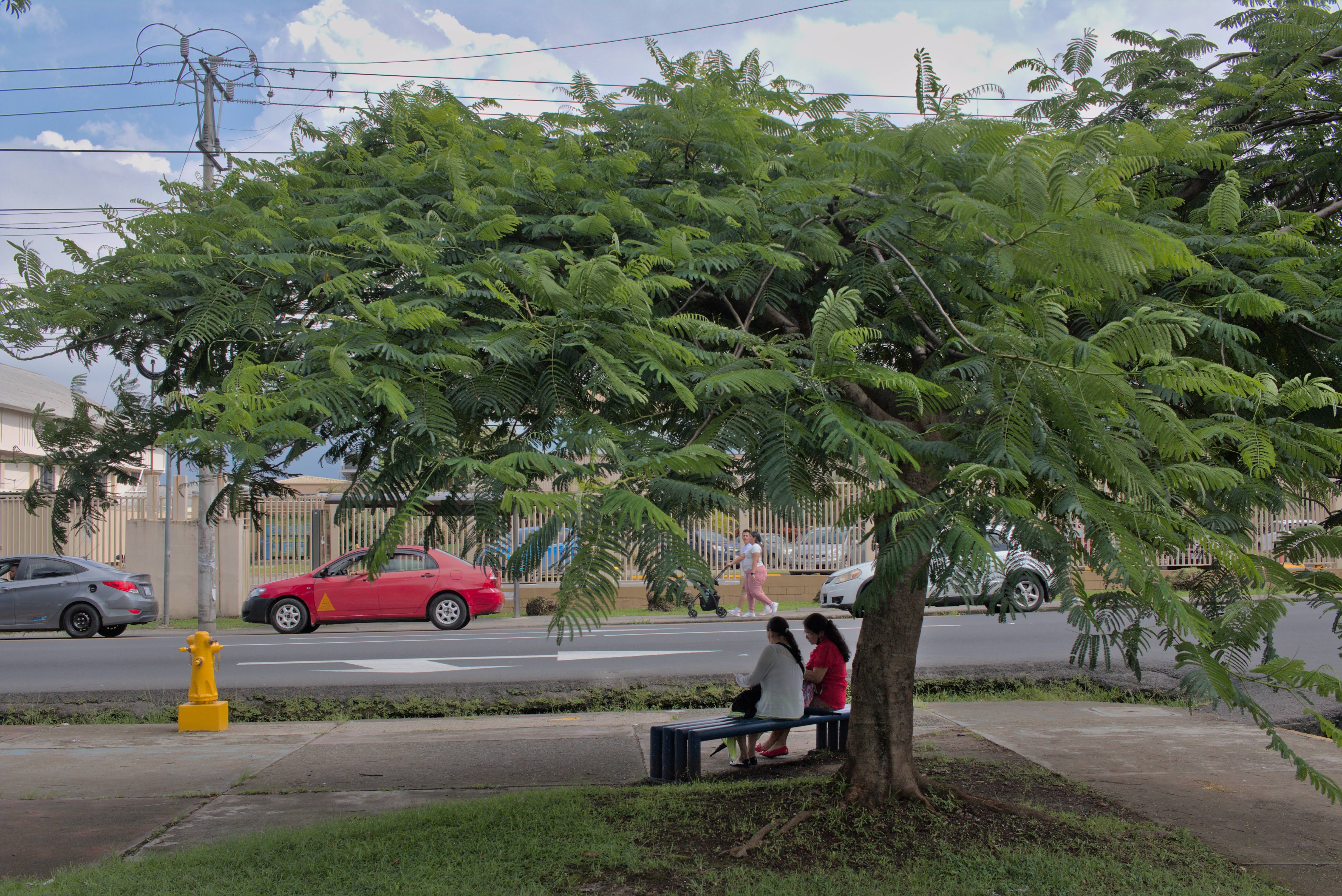 Aceras - Hatillo - Escuela Cervantes
