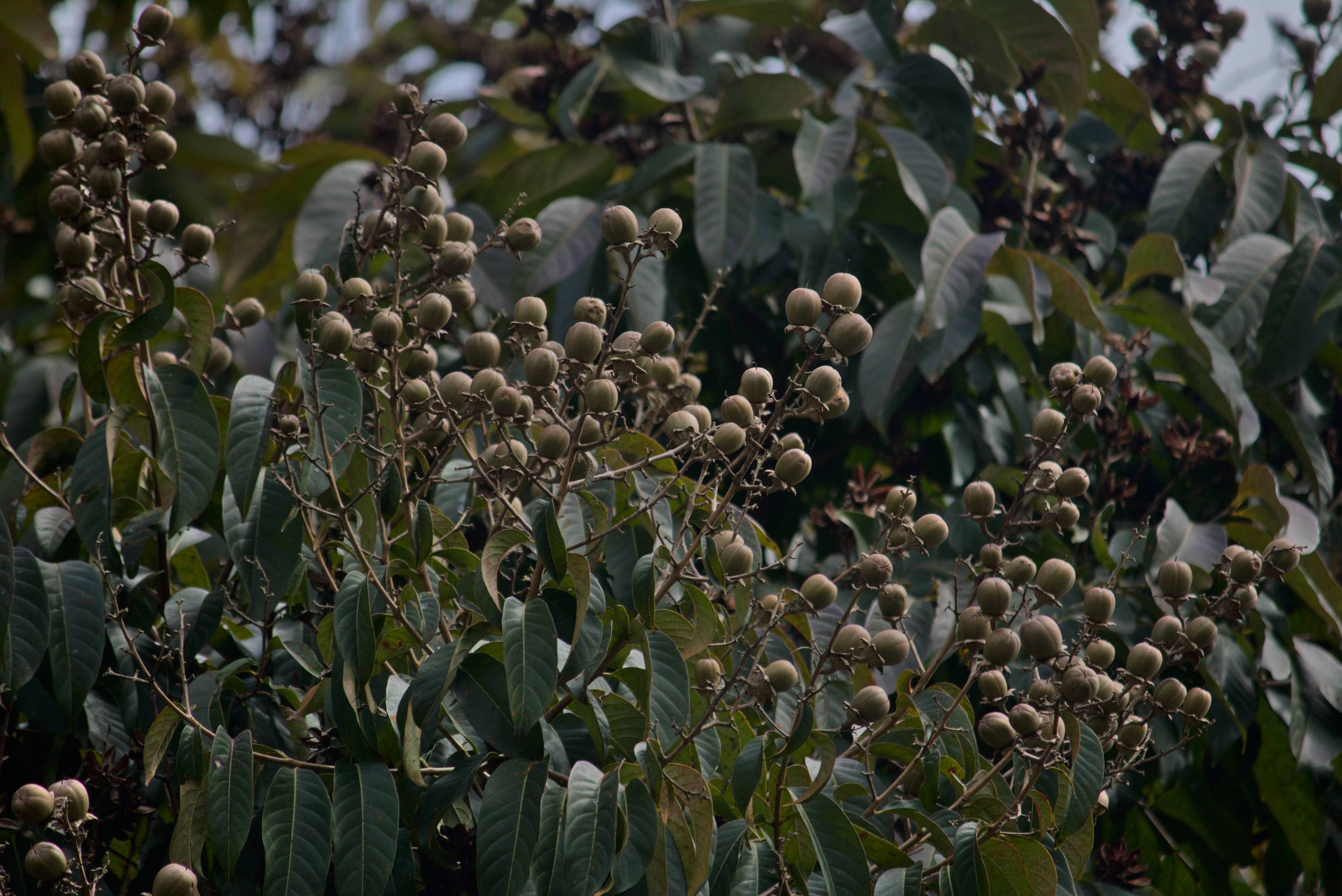 Aceras - Hatillo - Escuela Cervantes