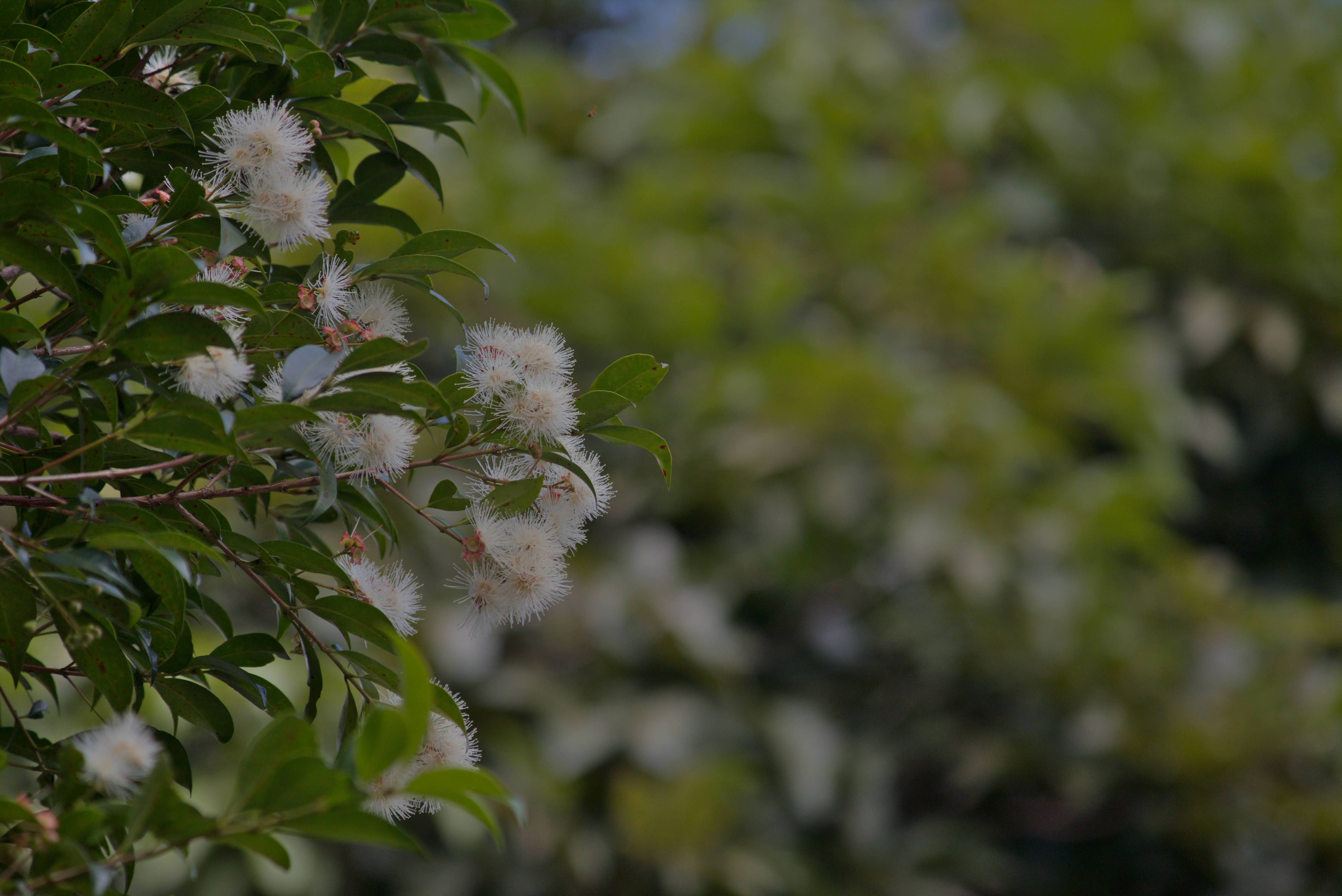 Aceras - Hatillo - Escuela Cervantes