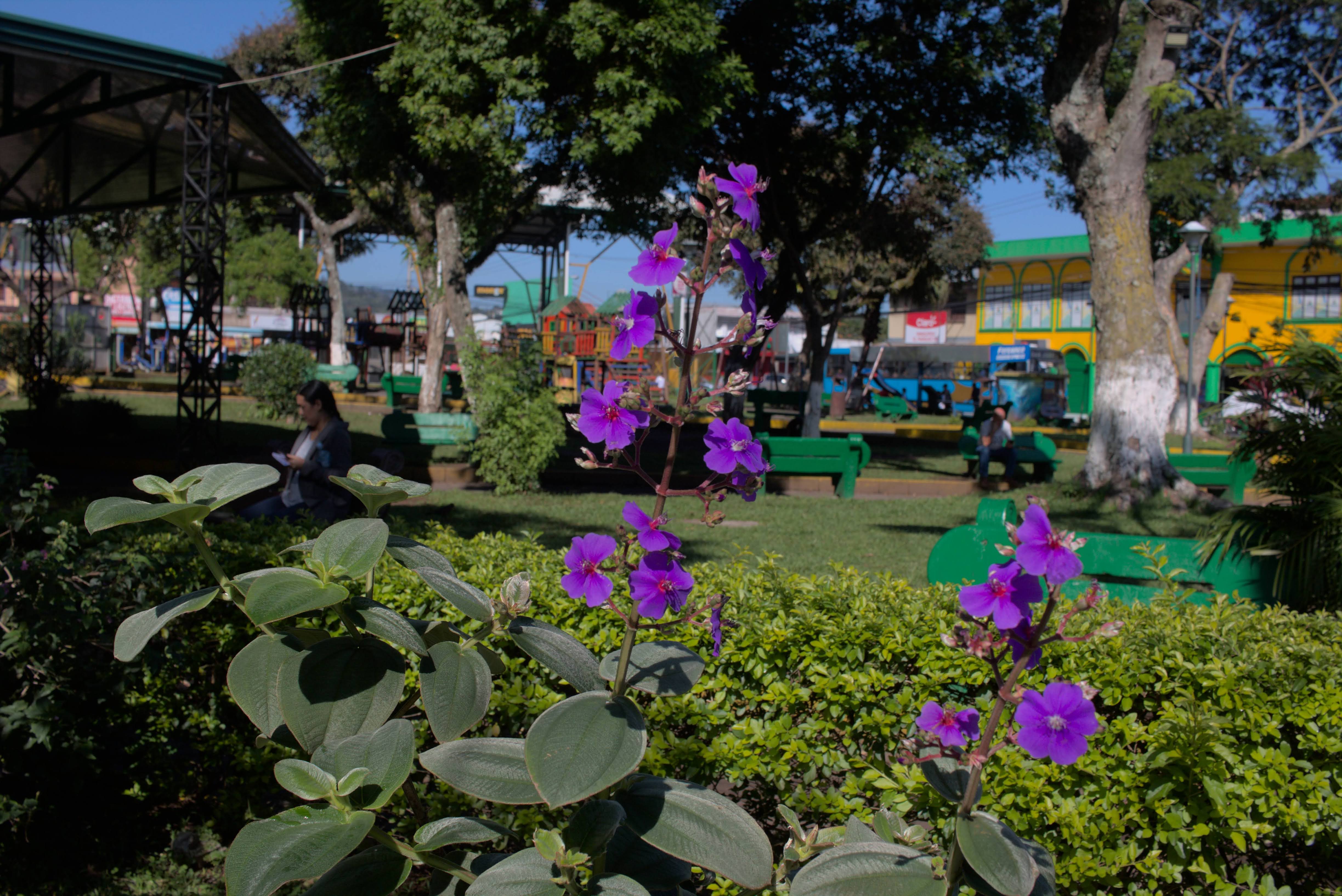 ParqueAlajuelita_TEVU_OET