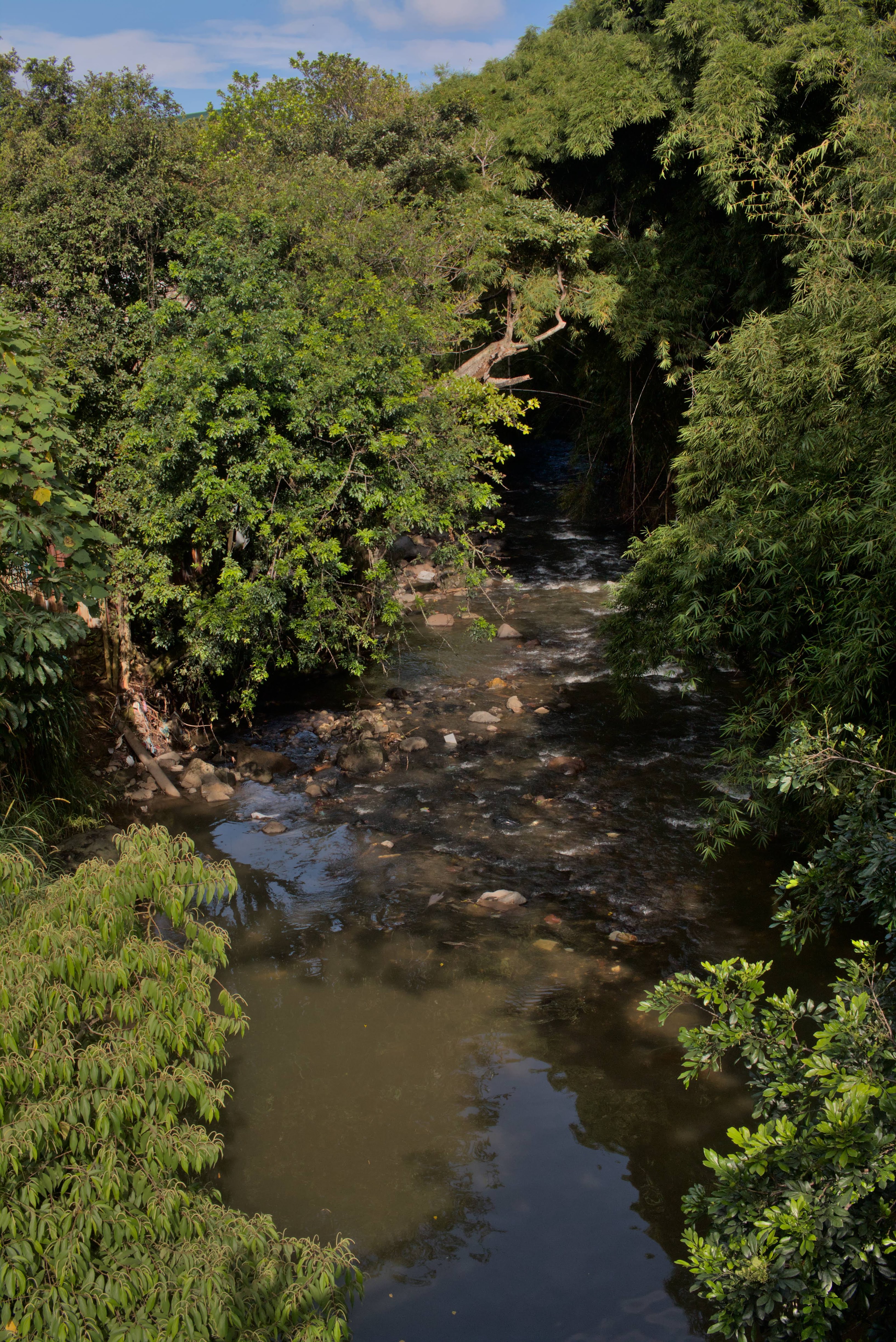 SanJose_EspacioUrbanoNatural_Central_TEVU_OET_1