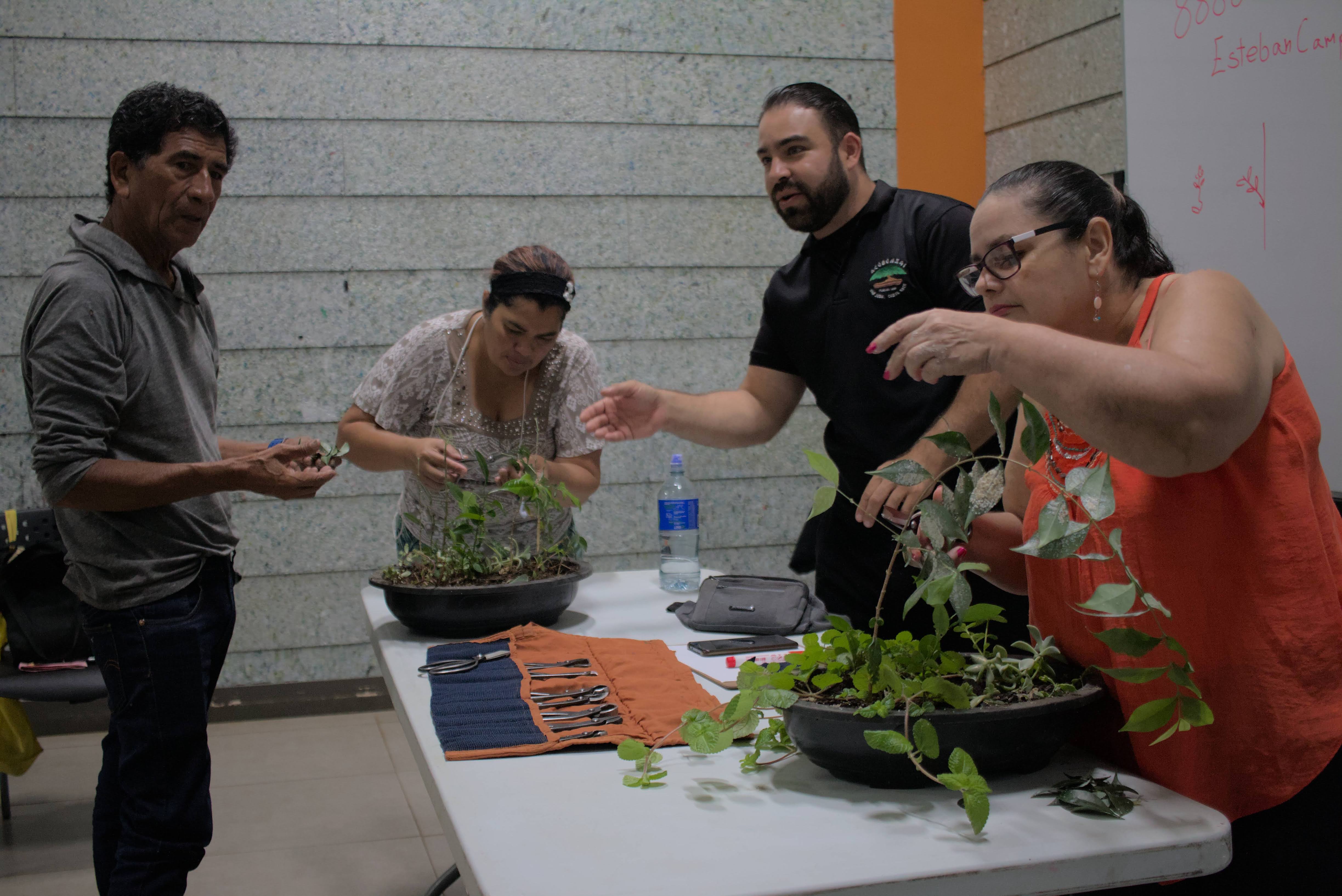 TallerAmbiental_Bonsais_ParqueLalibertad_TEVU_OET