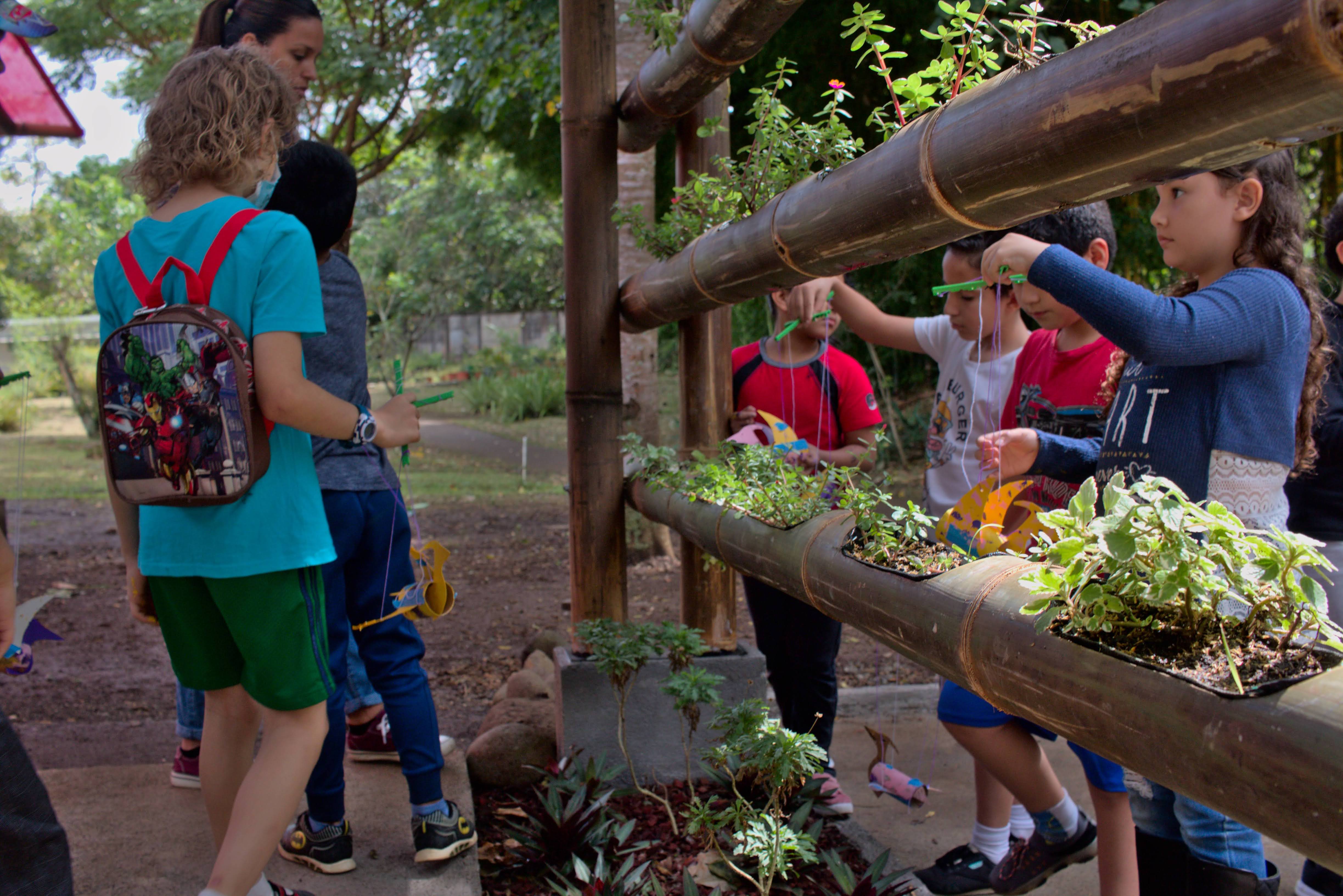 TallerAmbiental_Bonsais_ParqueLalibertad_TEVU_OET_3