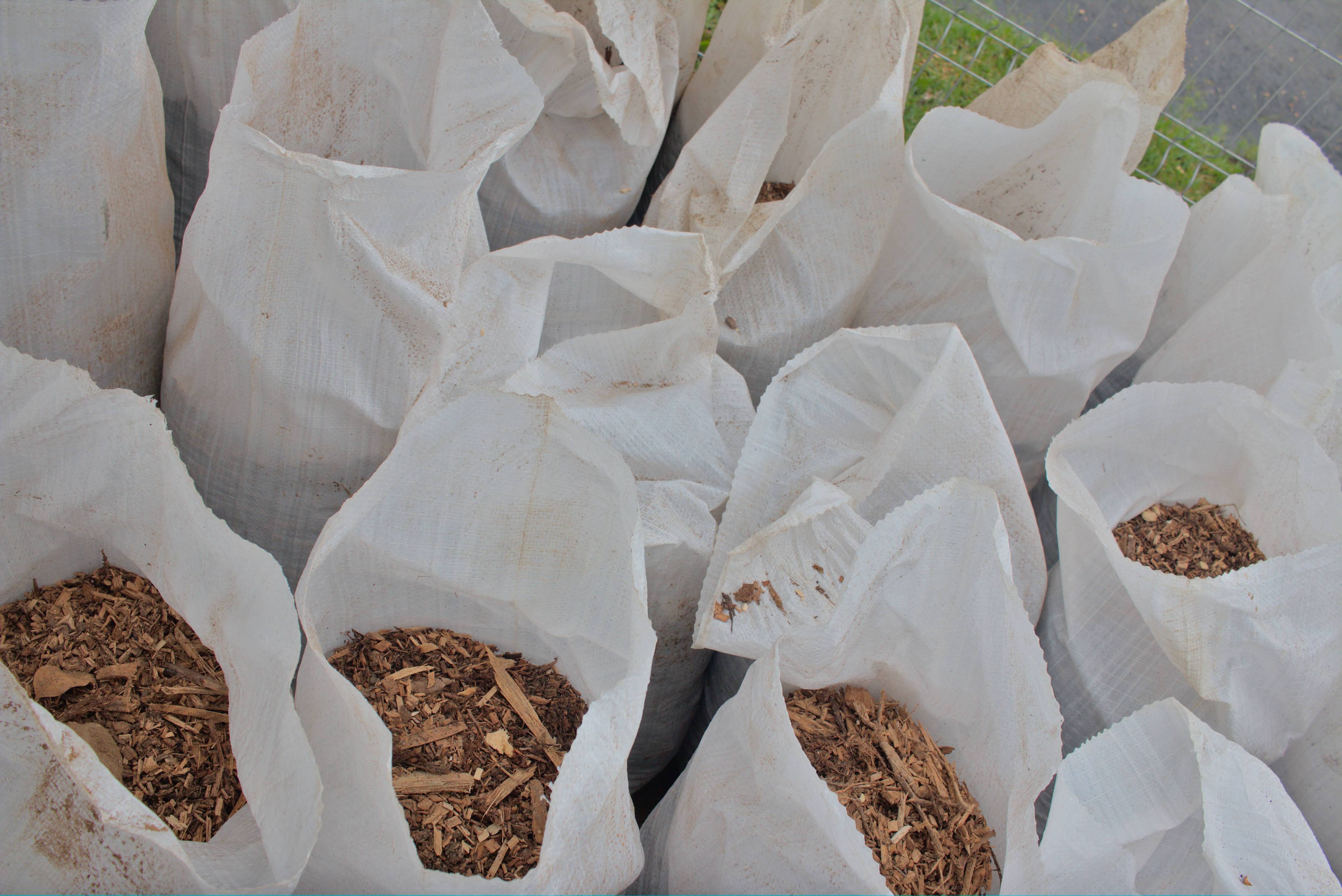 ViveroMunicipal_Huerta_Parque_Curridabat_TEVU_OET1