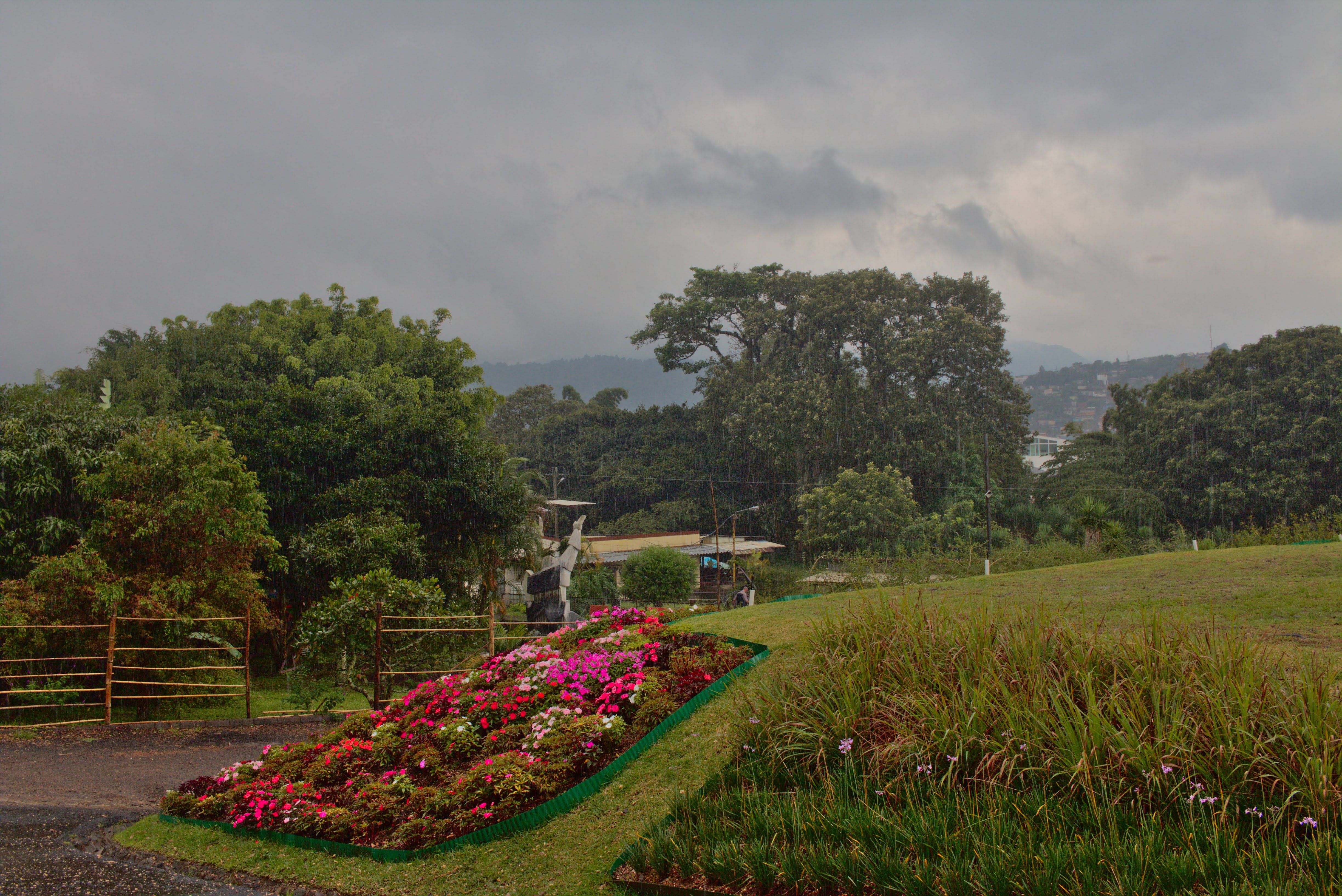 ViveroMunicipal_Huerta_Parque_Curridabat_TEVU_OET7