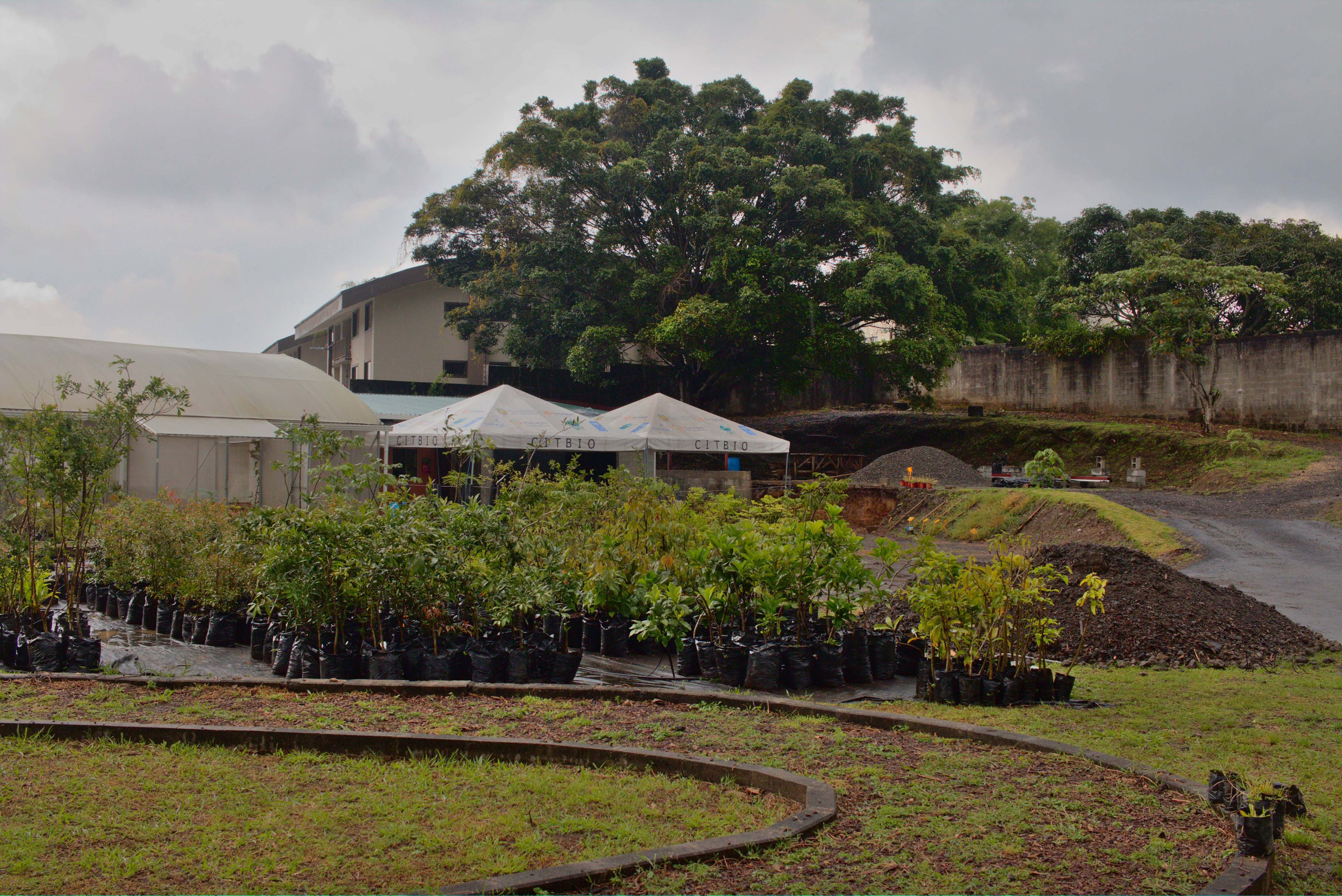 ViveroMunicipal_Huerta_Parque_Curridabat_TEVU_OET2