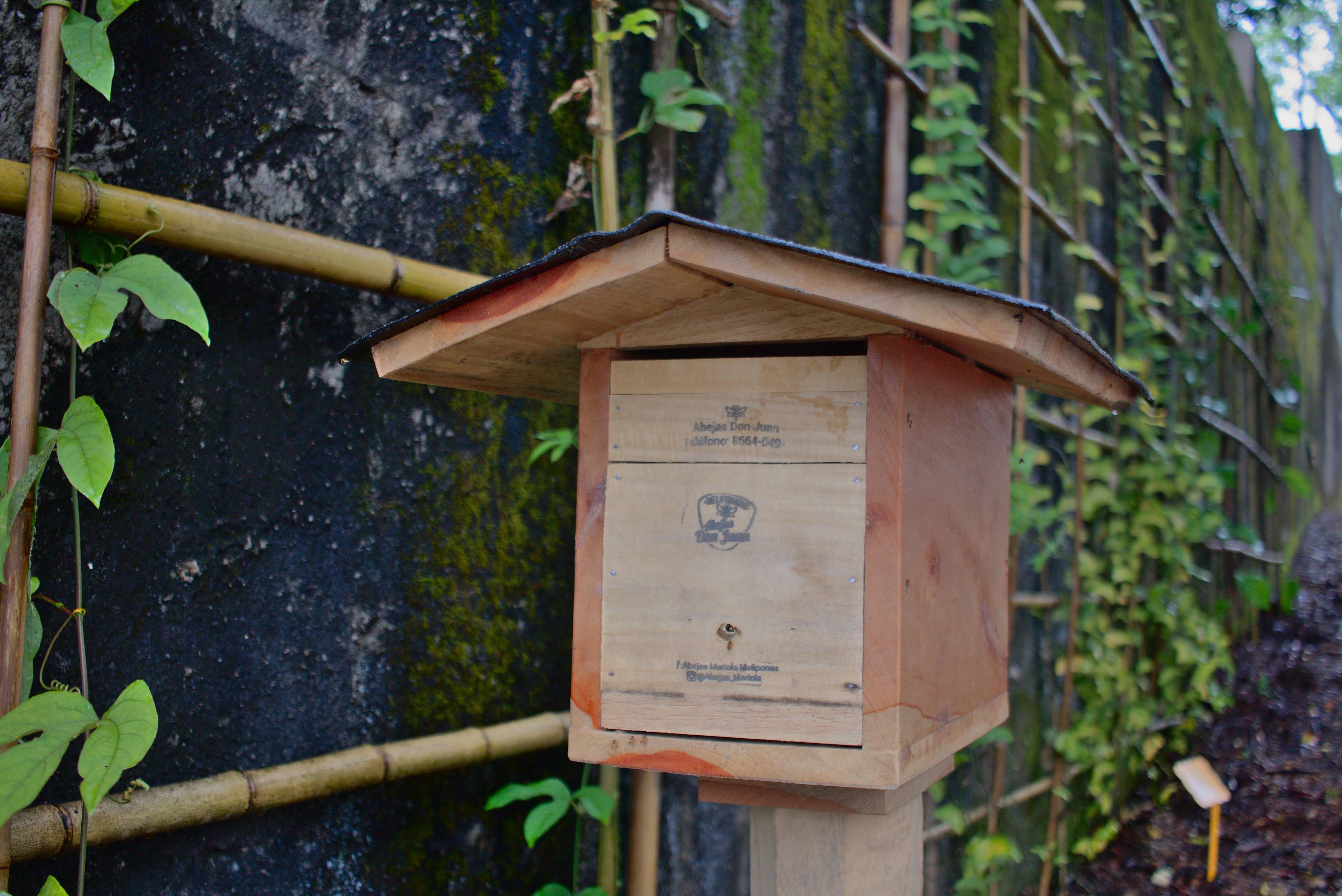 ViveroMunicipal_Huerta_Parque_Curridabat_TEVU_OET5