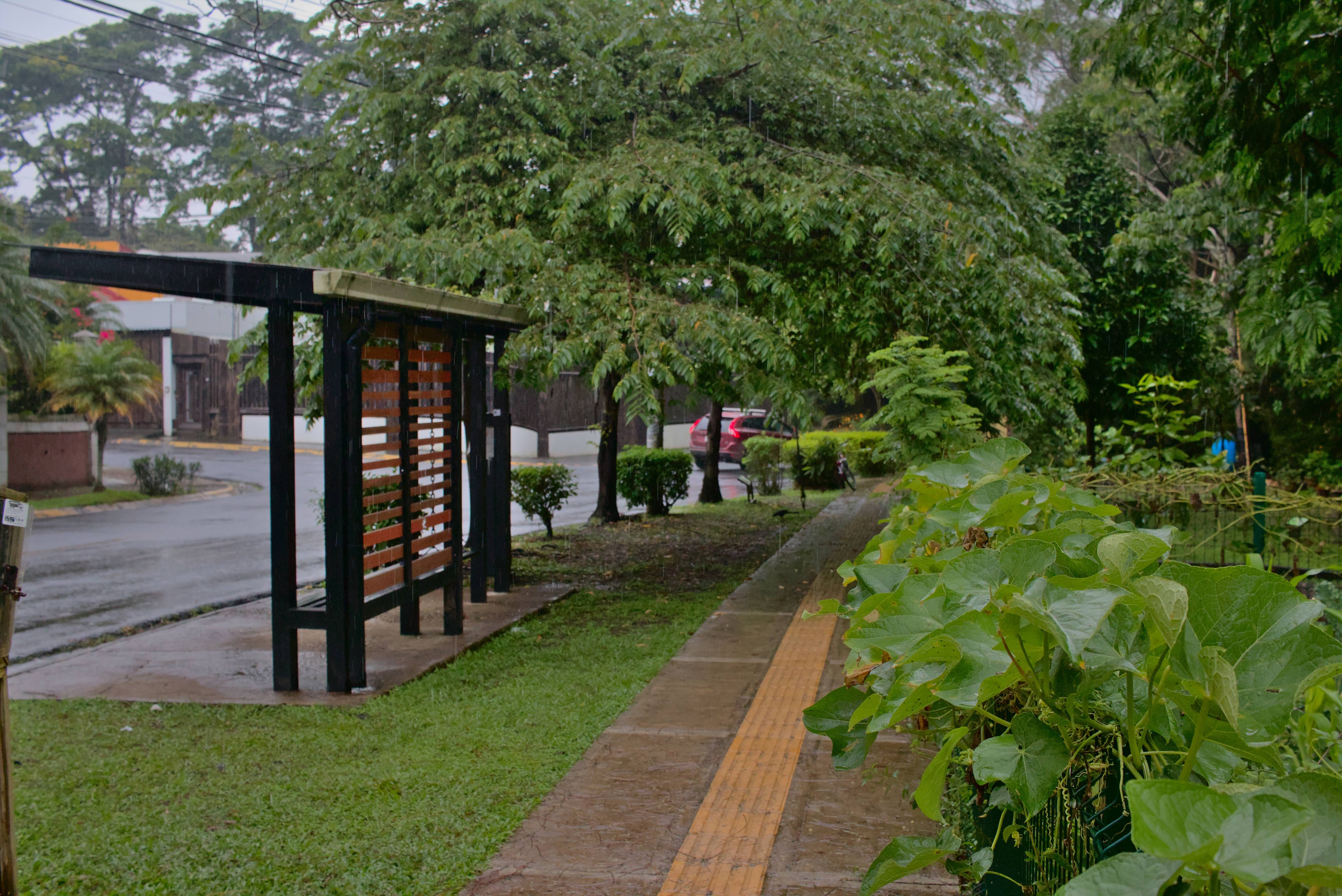 ViveroMunicipal_Huerta_Parque_Curridabat_TEVU_OET6