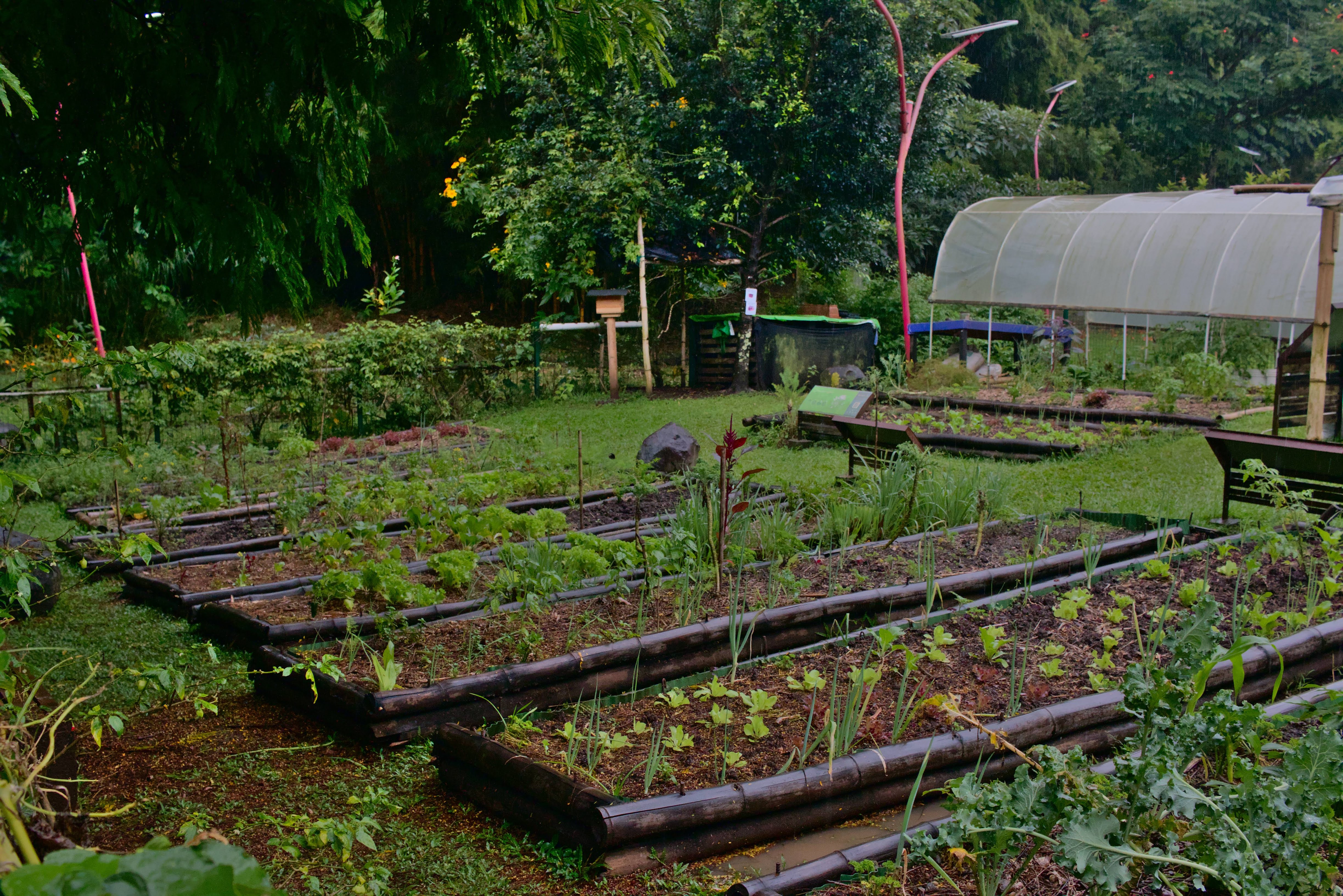 ViveroMunicipal_Huerta_Parque_Curridabat_TEVU_OET10