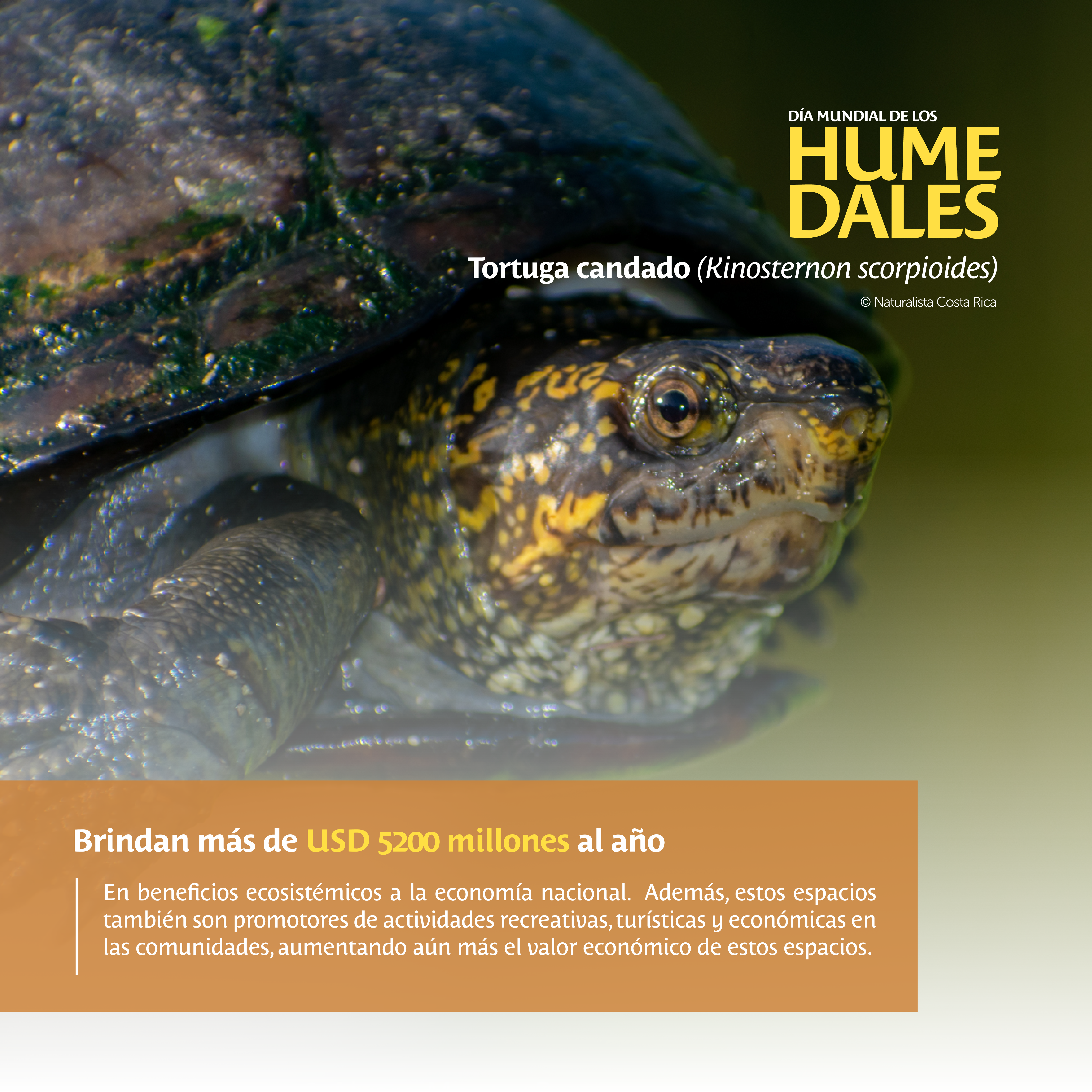 Día Mundial Humedales 3