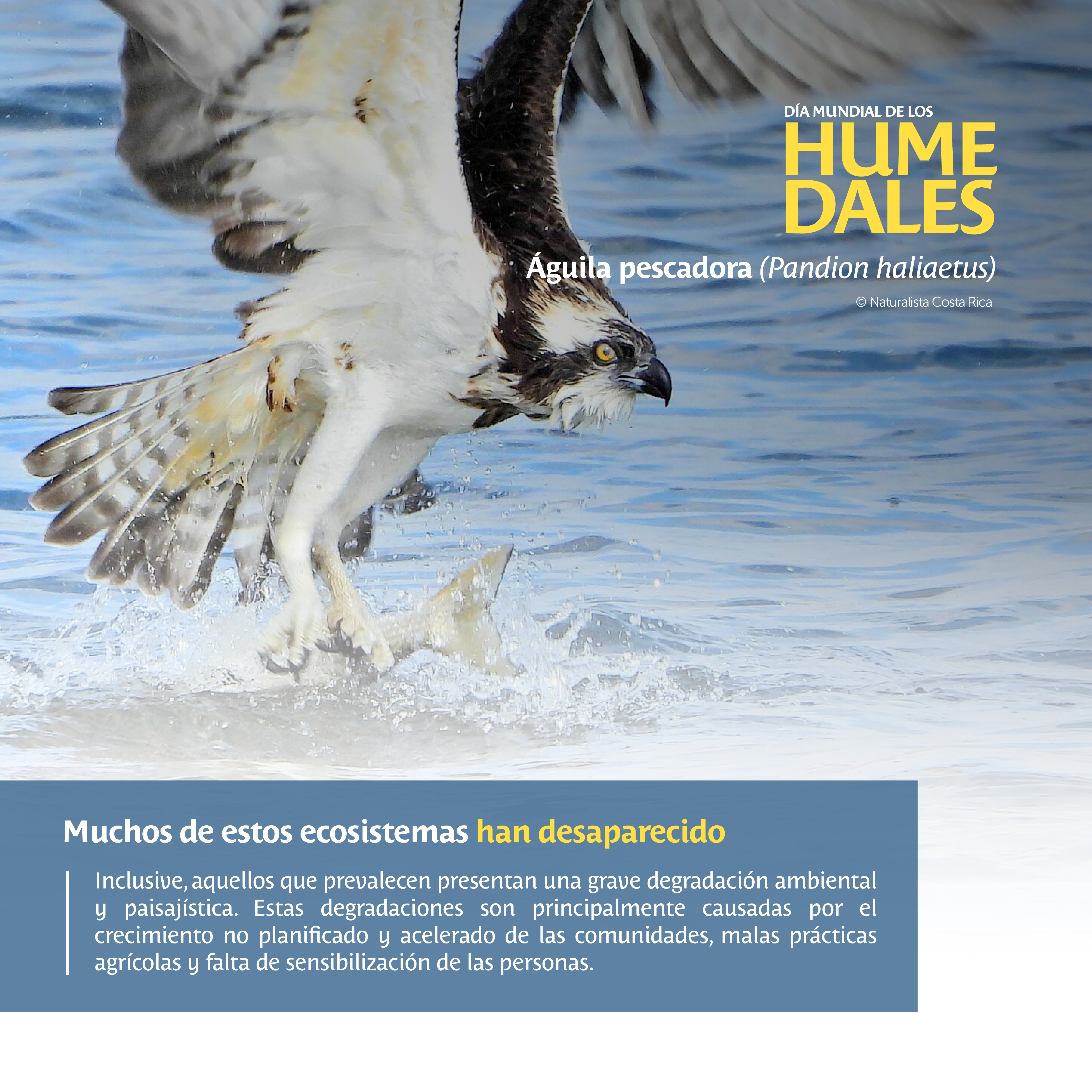 Día Mundial Humedales 4