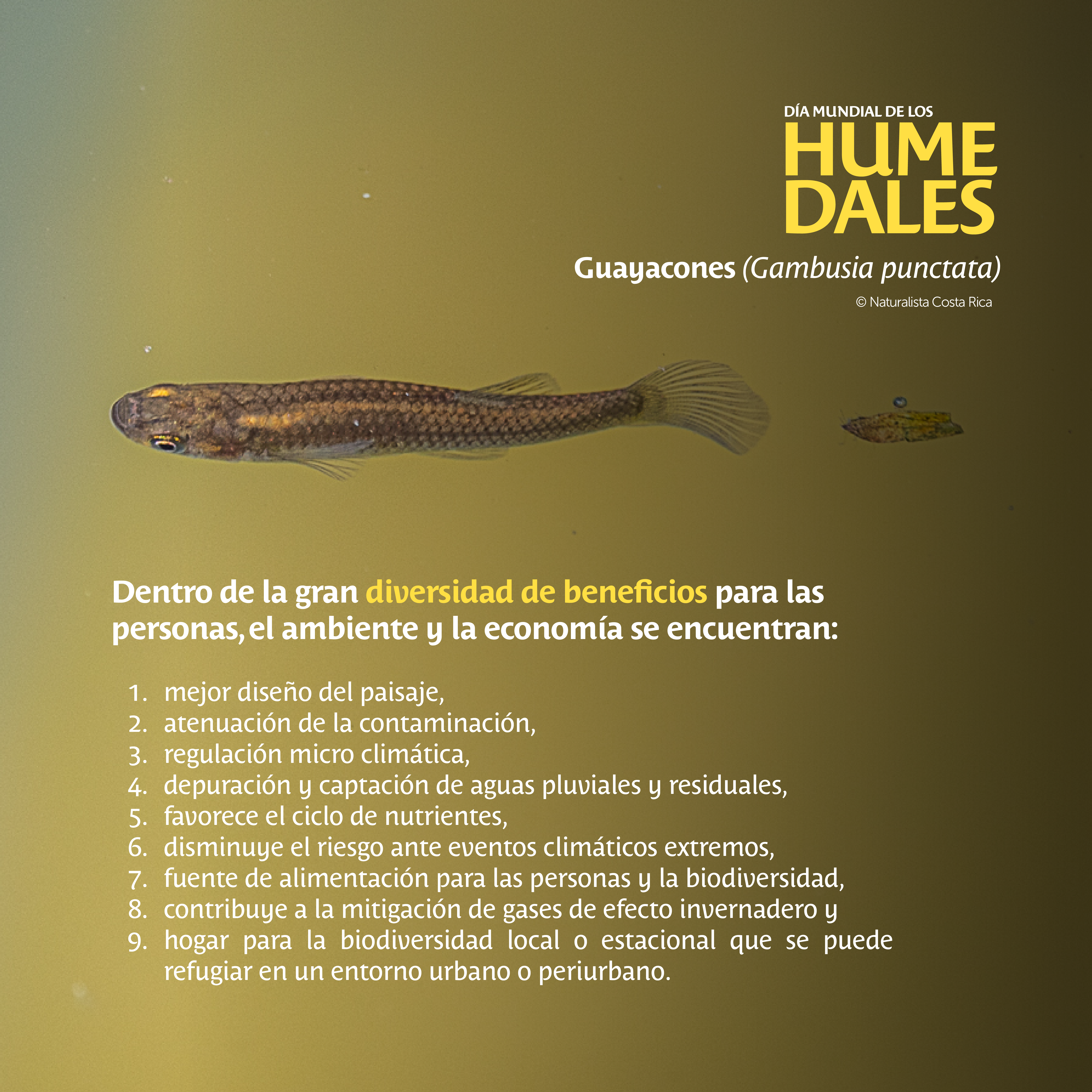 Día Mundial Humedales 5