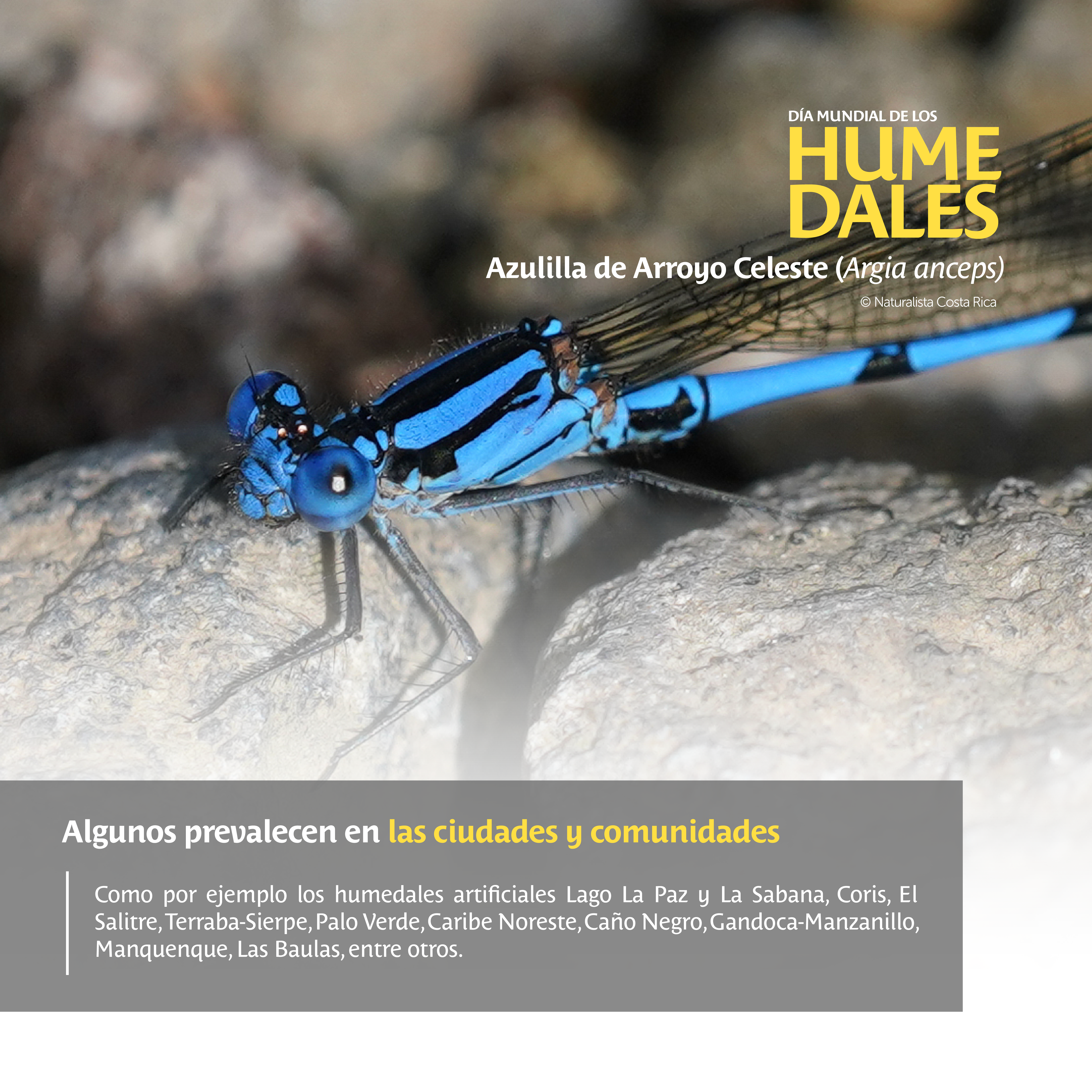 Día Mundial Humedales 6