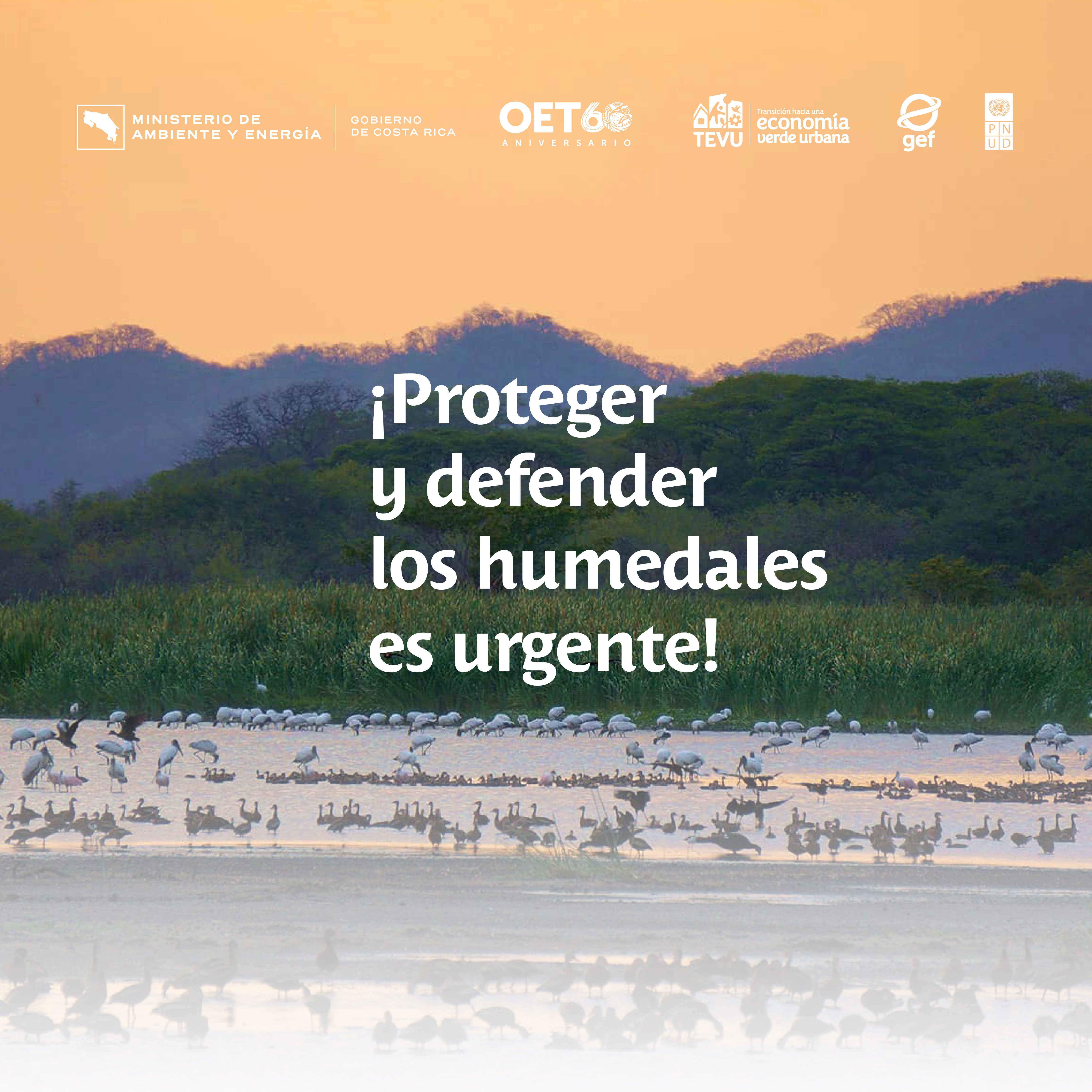 Mensaje Día Mundial Humedales 