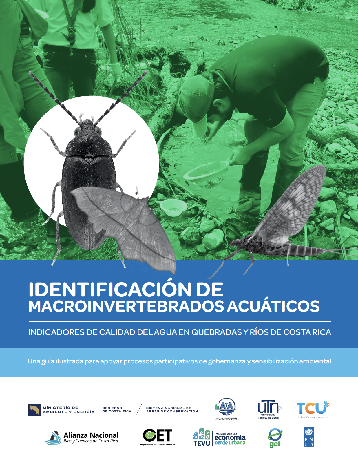 Portada Macroinvertebrados