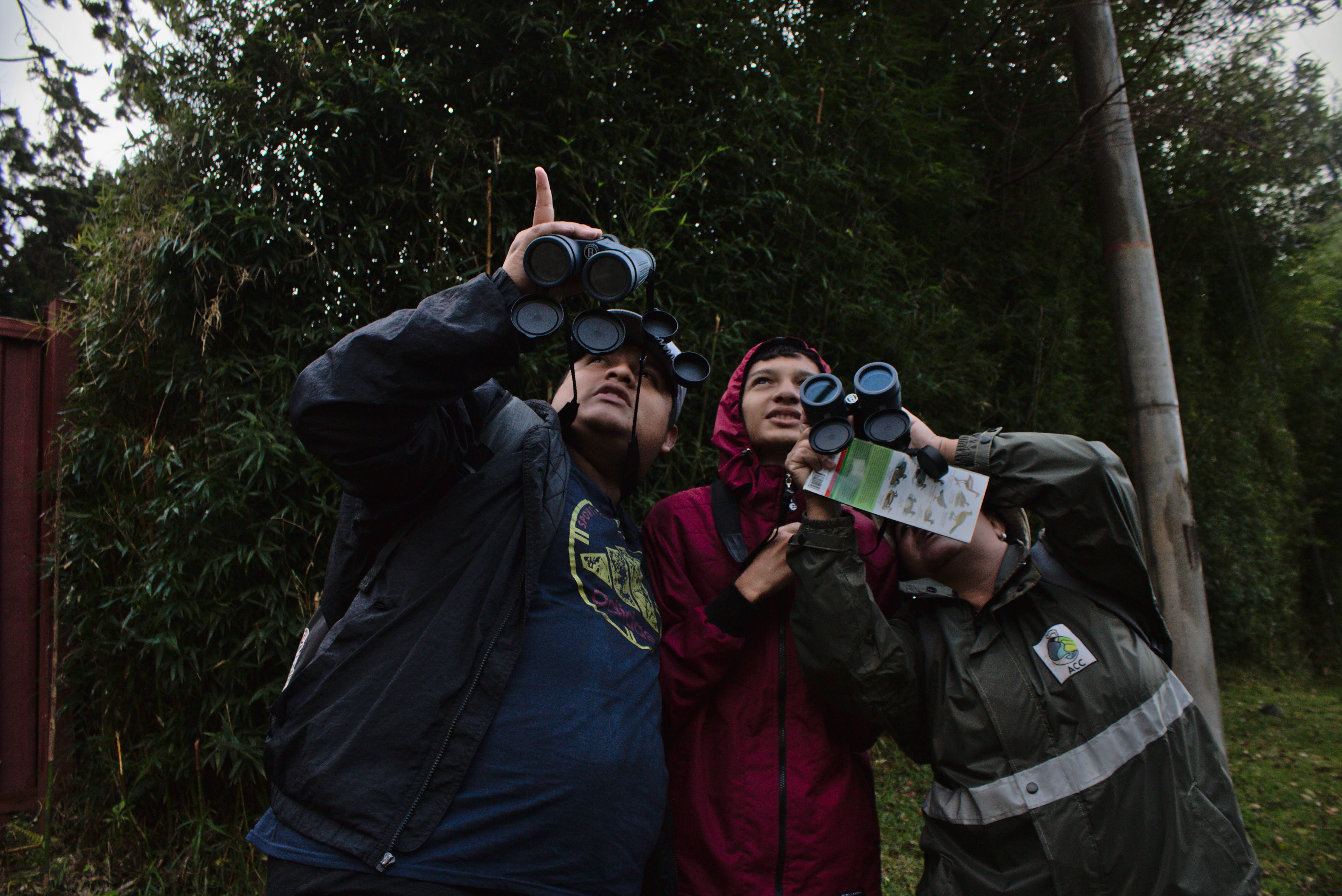 Personas con binuculares observando aves