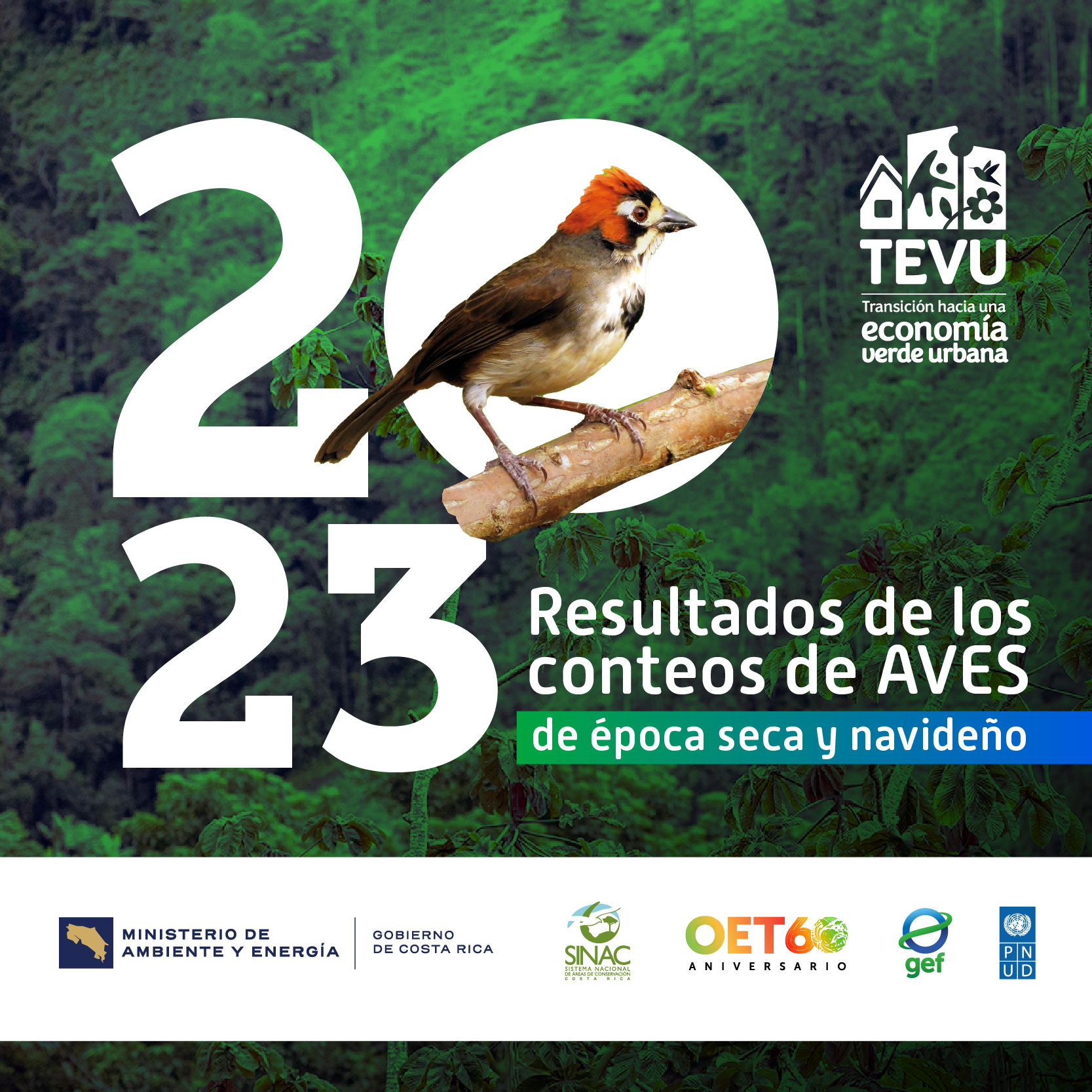 Portada Resultados de Conteo de Aves