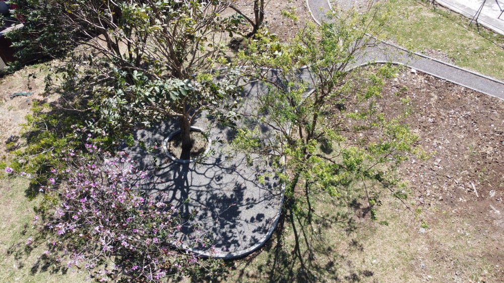 Equipo humano de TEVU