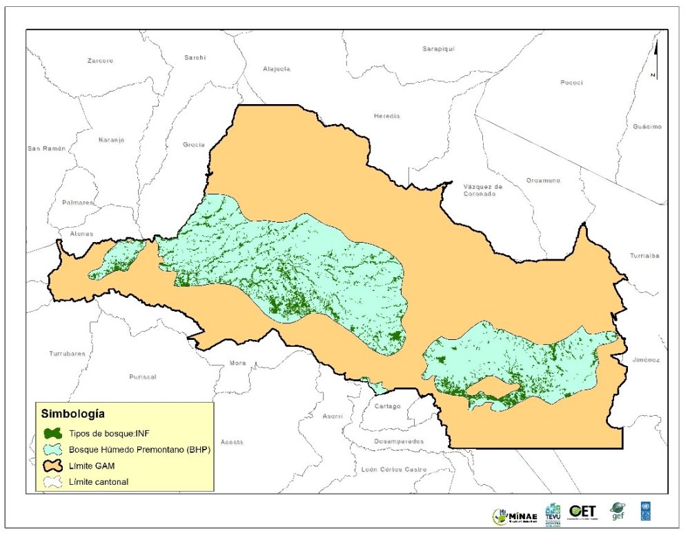 Figura 1. Delimitación de la Zona de Vida del Bosque Húmedo Premontano (BHP) y la cobertura boscosa presente según el mapa de tipos de bosque del INF del SINAC, en la GAM.