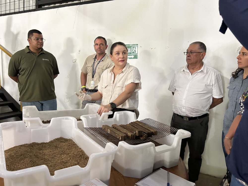 Equipo humano de TEVU