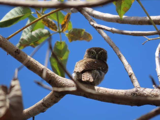 Equipo humano de TEVU