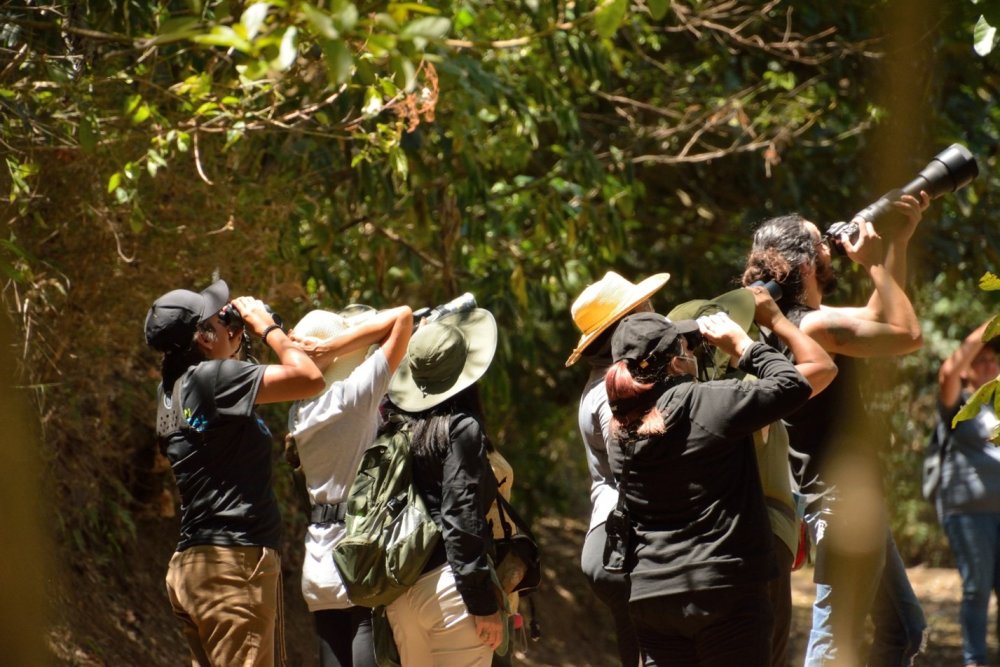 Equipo humano de TEVU