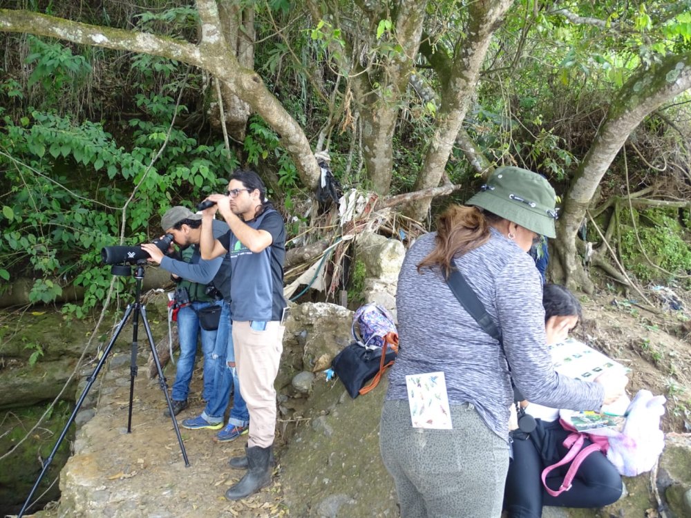 Equipo humano de TEVU