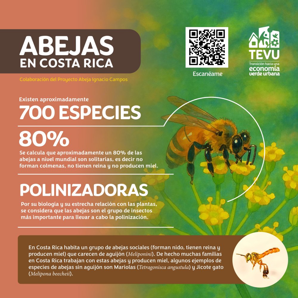 Infograma