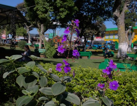 ParqueAlajuelita_TEVU_OET