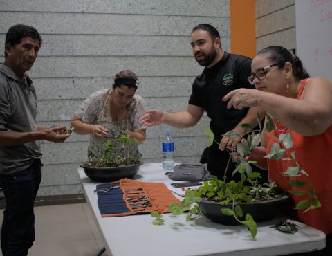 TallerAmbiental_Bonsais_ParqueLalibertad_TEVU_OET