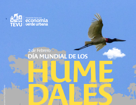 Día Mundial Humedales 1
