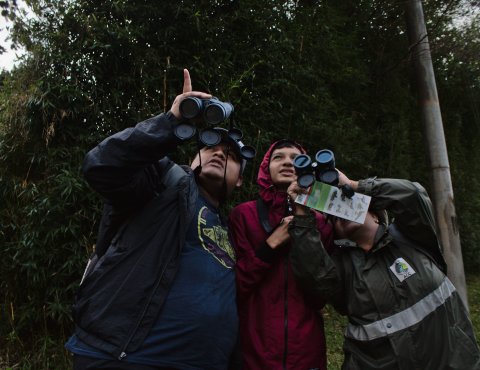 Personas con binuculares observando aves