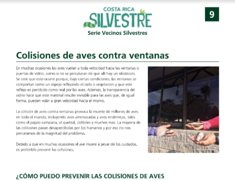  Ficha Colisiones de aves