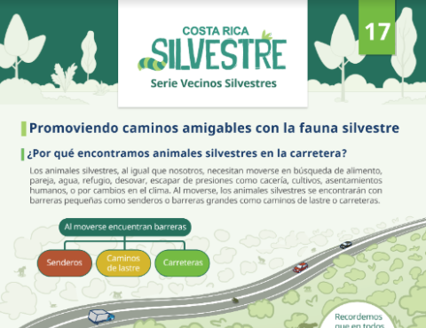  Ficha Promoviendo caminos amigables con la fauna silvestre