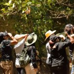 Personas en avistamiento de aves
